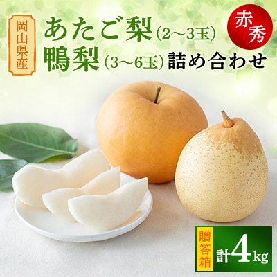 【2024年発送分】岡山県産　あたご梨2～3玉・鴨梨3～6玉 詰め合わせ　赤秀4kg　贈答箱　
