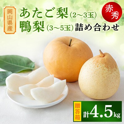 【2024年発送分】岡山県産　あたご梨2～3玉・鴨梨3~5玉 詰め合わせ　赤秀4.5kg　贈答箱　