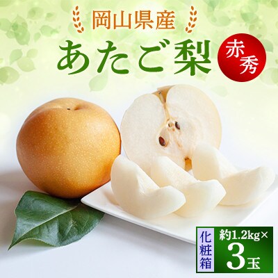 【2024年発送分】あたご梨1.2kg×3玉 赤秀3.6kg　化粧箱