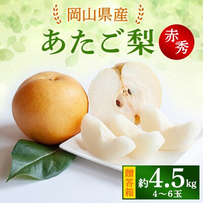 【2024年発送分】あたご梨4～6玉 赤秀4.5kg　贈答箱