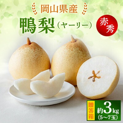 【2024年発送分】鴨梨(ヤーリー)5～7玉 赤秀3kg　贈答箱