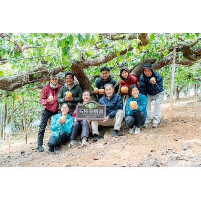 【2024年発送分】岡山県産　備前乙女梨(鴨梨)3～4玉入り2kg　プレミアム箱