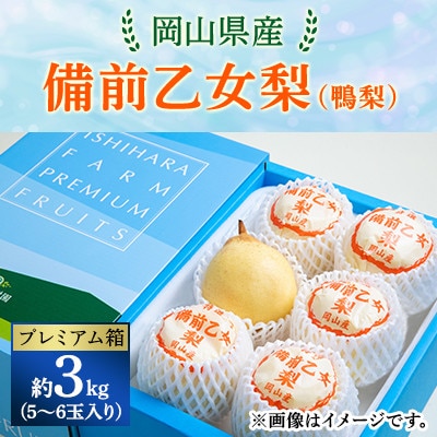 【2024年発送分】岡山県産　備前乙女梨(鴨梨) 5～6玉入り3kg プレミアム箱