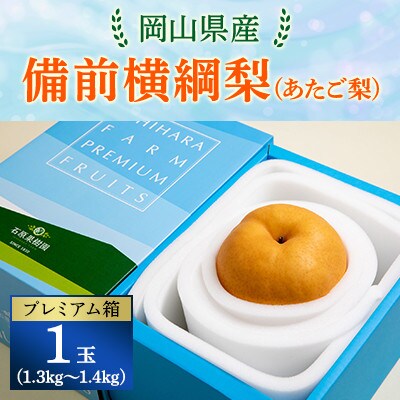 【2024年発送分】岡山県産　備前横綱梨(あたご梨)1玉 1.3kg～1.4kg プレミアム箱