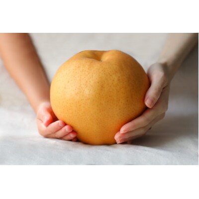 【2024年発送分】岡山県産　備前横綱梨(あたご梨)2玉(1玉1.3kg～1.4kg) プレミアム箱