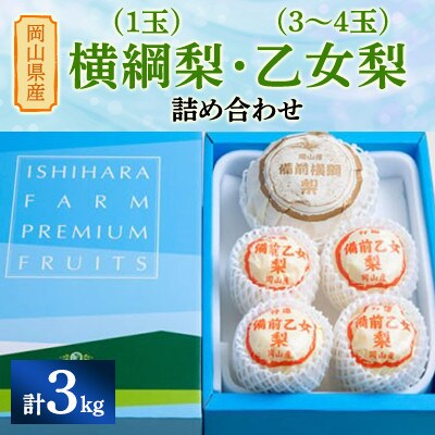 【2024年発送】岡山県産 横綱梨1玉(1.3～1.4kg玉)・乙女梨3~4玉 詰め合わせ 3kg