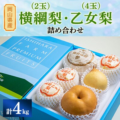 【2024年発送】岡山県産 横綱梨2玉(1.3～1.4kg玉)・乙女梨4玉 詰め合わせ 4kg