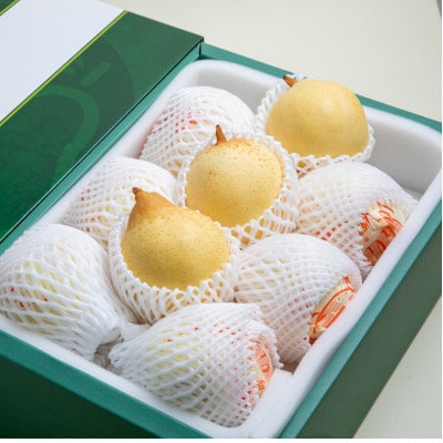 【2025年発送】ヤーリー4.5kg 贈答箱 6～12玉(YR-45)