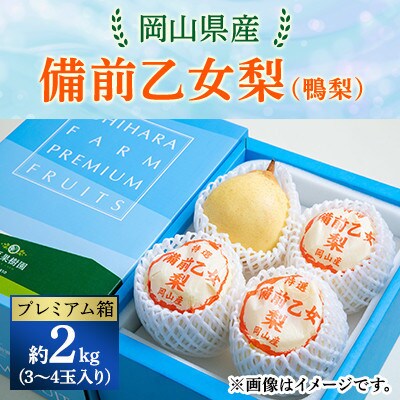 【2025年発送】備前乙女梨 2kg箱 3～4玉入り(BO-20)