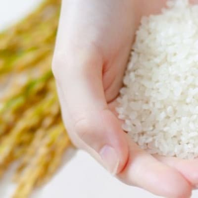【石原果樹園】備前乙女米　白米2Kg×1袋(BOH02-1)