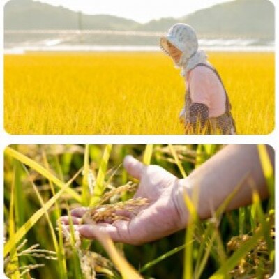 【石原果樹園】備前乙女米　白米2Kg×1袋・玄米2kg×1袋(BOHB02-2)