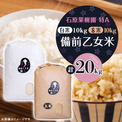 【石原果樹園】備前乙女米　白米10kg×1袋・玄米10kg×1袋(BOHB10-2)