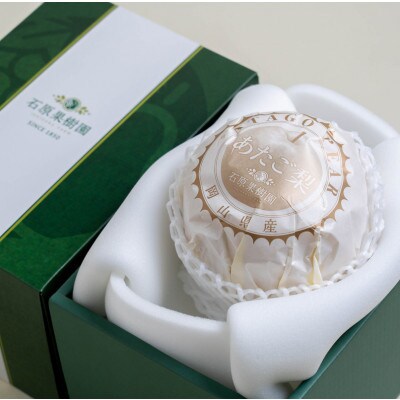 あたご梨 1玉 贈答箱 赤秀 約1.1kg玉(A1-11)