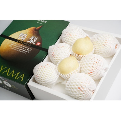 ヤーリー4kg化粧贈答箱赤秀 大玉6～10玉(YRK-40B)