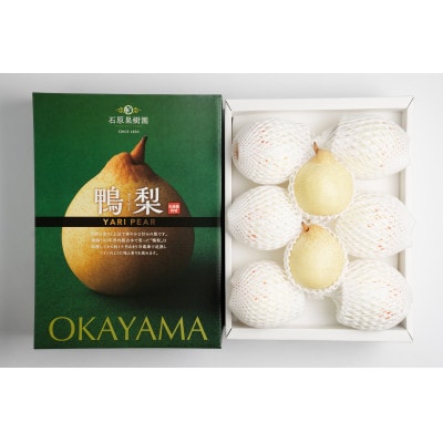 ヤーリー4kg化粧贈答箱赤秀 大玉6～10玉(YRK-40B)