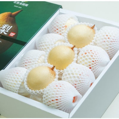 ヤーリー4kg化粧贈答箱赤秀 小玉11～13玉(YRK-40S)