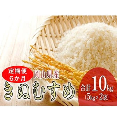 【毎月定期便】【6か月定期便】岡山県産 きぬむすめ 10kg(5kg×2袋)全6回
