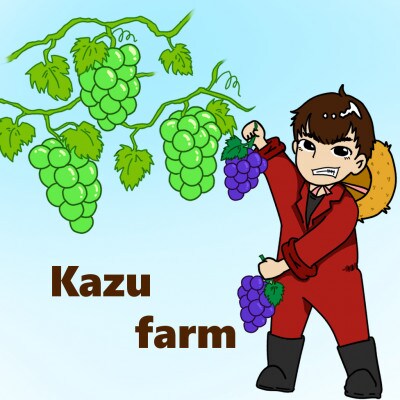 【訳あり】2024年発送　岡山県産 オーロラブラック 2房 合計約1kg 冷蔵配送