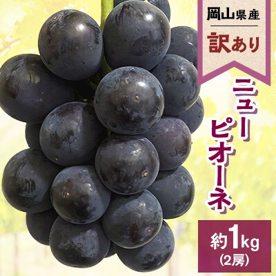 【訳あり】2024年発送　岡山県産 ニューピオーネ2房 合計約1kg 常温配送