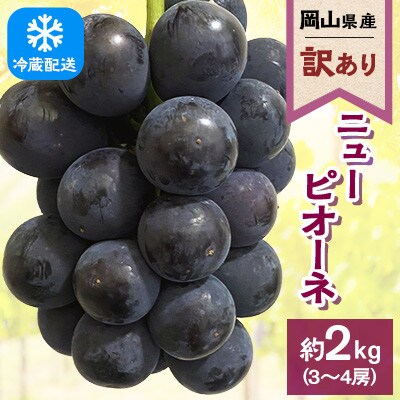 【訳あり】2024年発送　岡山県産 ニューピオーネ3-4房 合計約2kg 冷蔵配送