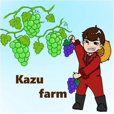 【訳あり】2024年発送　岡山県産 ニューピオーネ3-4房 合計約2kg 冷蔵配送