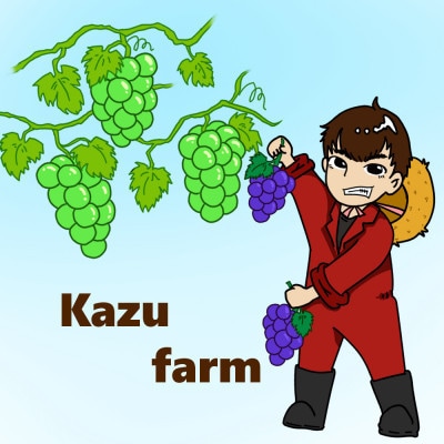 【訳あり】2026年発送 岡山県産 オーロラブラック6～10房 合計約4kg 常温配送