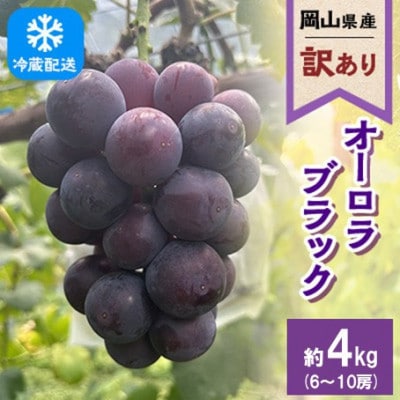 【訳あり】2026年発送 岡山県産 オーロラブラック6～10房 合計約4kg 冷蔵配送