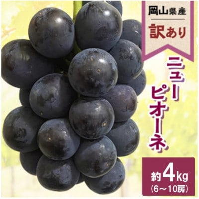 【訳あり】2026年発送 岡山県産 ニューピオーネ6～10房 合計約4kg 常温配送