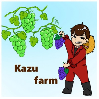 【訳あり】2026年発送 岡山県産 ニューピオーネ6～10房 合計約4kg 冷蔵配送
