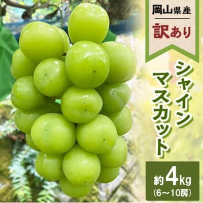 【訳あり】2026年発送 岡山県産 シャインマスカット 6～10房 合計約4kg 常温配送