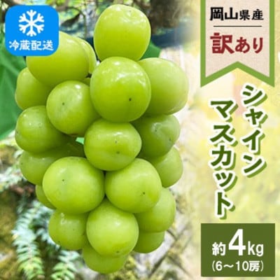 【訳あり】2026年発送 岡山県産 シャインマスカット 6～10房 合計約4kg 冷蔵配送