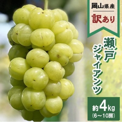 【訳あり】2026年発送 岡山県産 瀬戸ジャイアンツ 6～10房 合計約4kg 常温配送
