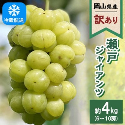 【訳あり】2026年発送 岡山県産 瀬戸ジャイアンツ 6～10房 合計約4kg 冷蔵配送