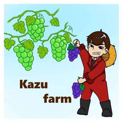 【訳あり】2026年発送 岡山県産 瀬戸ジャイアンツ 6～10房 合計約4kg 冷蔵配送