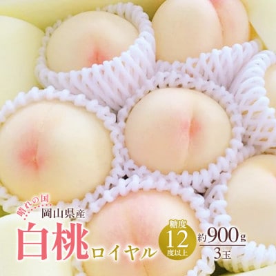 2025年発送 岡山産 白桃 ロイヤル 3玉入り 合計約900g