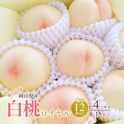 2025年発送 岡山産 白桃 ロイヤル 約4kg 8～15玉入り