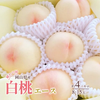 2025年発送 岡山産 白桃 エース 約4kg 8～15玉入り
