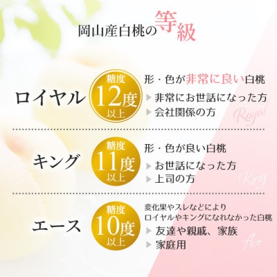 2025年発送 岡山産 白桃 エース 約4kg 8～15玉入り