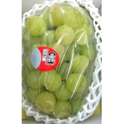 桃太郎ぶどう1房 (約500g)