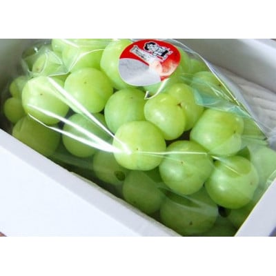 桃太郎ぶどう2房 (約1kg)