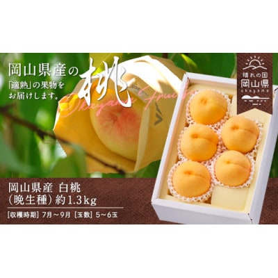 岡山県産　白桃(晩生種)　約1.3kg(5～6玉)