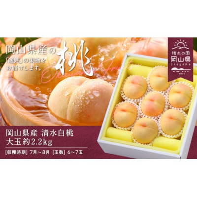 岡山県産　清水白桃　約2.2kg(大玉6～7玉)