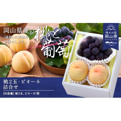 桃・ピオーネ詰合せ(白桃晩生種2玉・ニューピオーネ1房)　合計約1.0kg