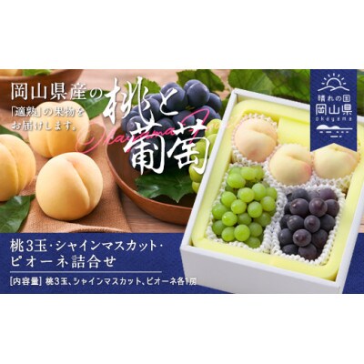 白桃(晩生種)3玉・シャインマスカット1房・ニューピオーネ1房詰合せ　合計約1.8kg
