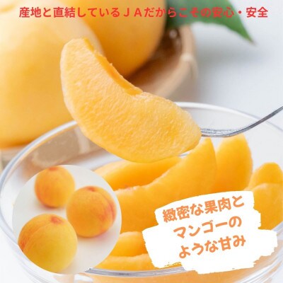 ご家庭用　おかやまの黄金桃　約1.3kg(5～6玉)