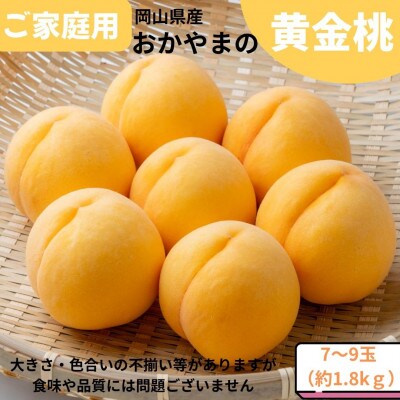 ご家庭用　おかやまの黄金桃　約1.8kg(7～9玉)