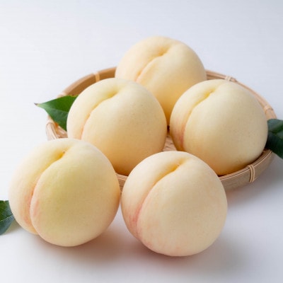 ご家庭用　白桃(晩生種)　 約1.5kg(5～6玉)