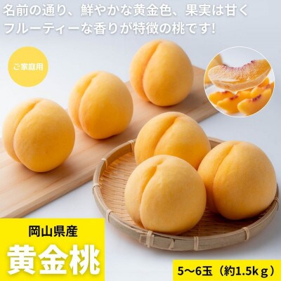 ご家庭用　岡山県産黄金桃　約1.5kg(5～6玉)