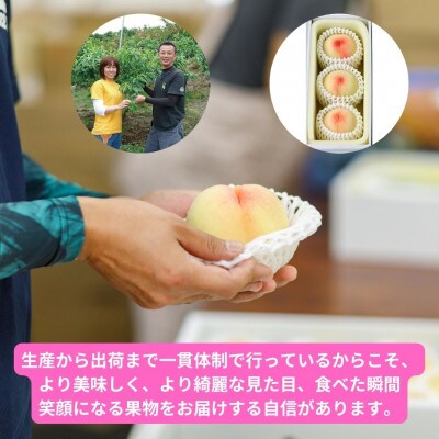 岡山県産白桃　3玉・約800g(クール便)