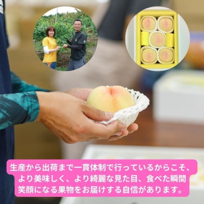 岡山県産清水白桃　5玉・約1.3kg(クール便)